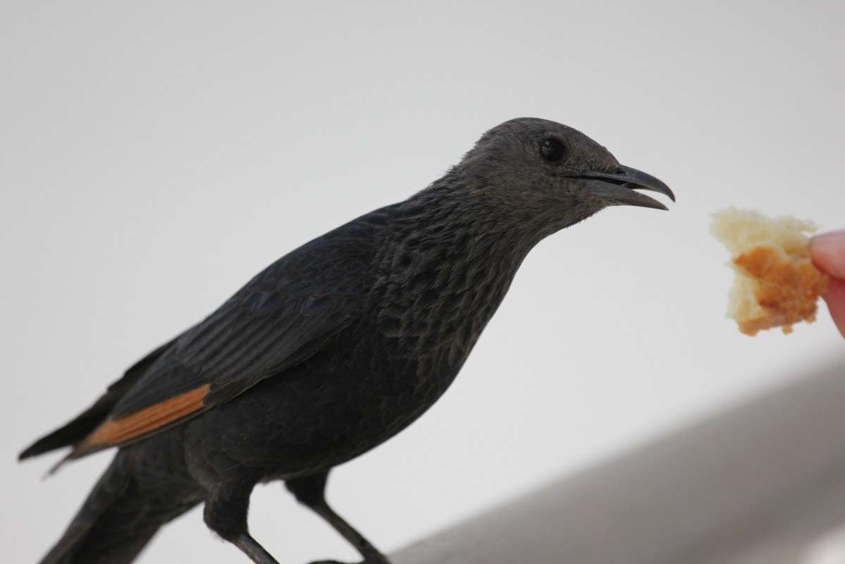 ����� �� ������,���� � ����� ����� ������ �������� �� PhotoGeek.ru #�������� ��� #������ ��� ������� #����� ��� ��� ���������