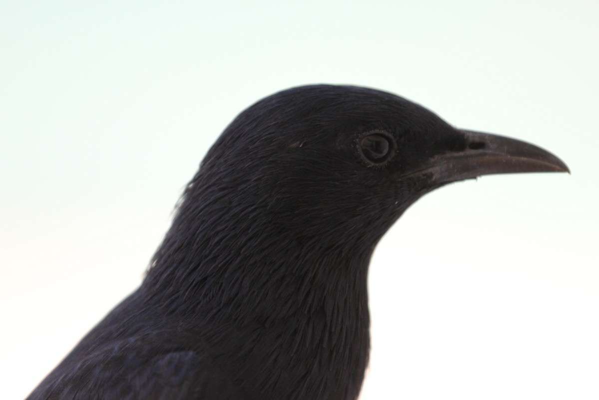 �������,������� ����� ������ �������� �� PhotoGeek.ru #�������� ��� #����� ��� ��� ���������