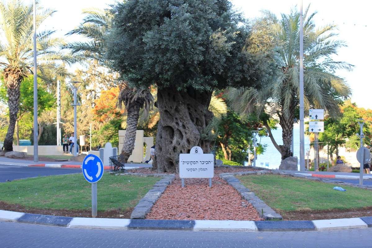 ��� � ����� �� ������ ����� ������ �������� �� PhotoGeek.ru #����� #�������� ���