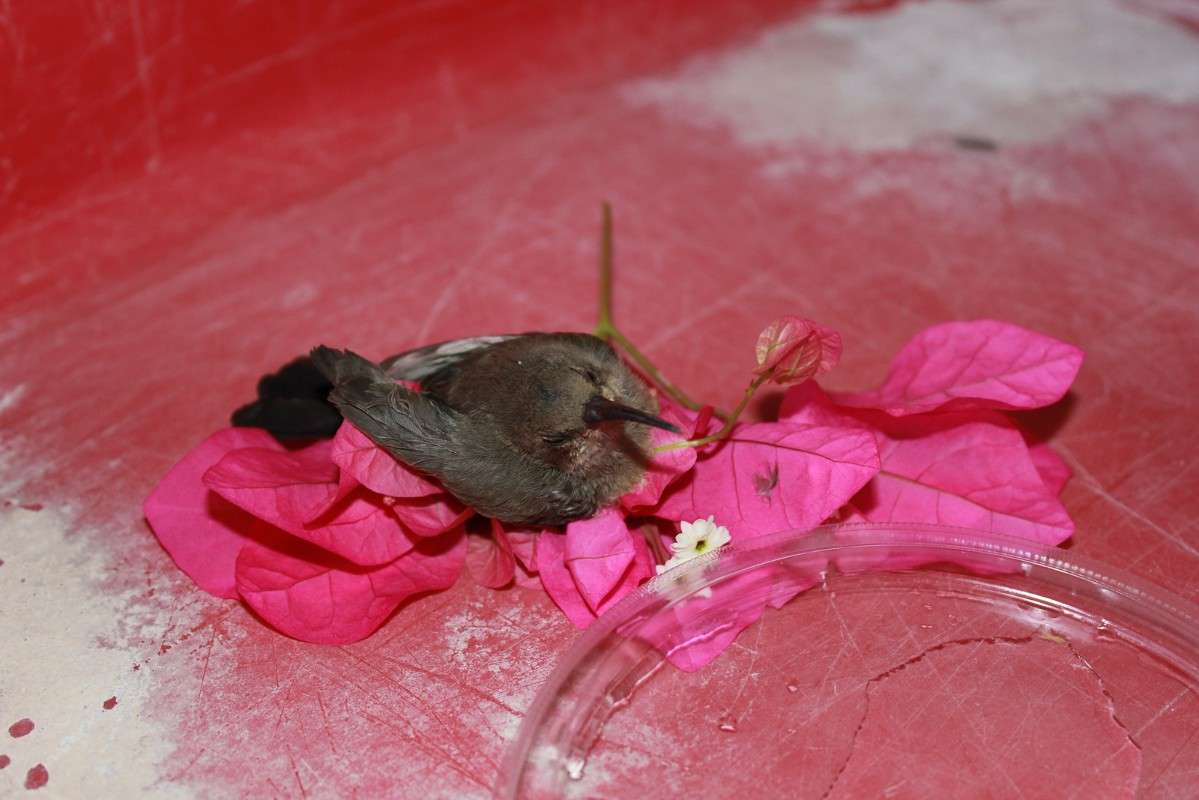 ������� ������... ����� ������ �������� �� PhotoGeek.ru #����� #�������� ��� #������ ��� ������� #����� ��� ��� ���������