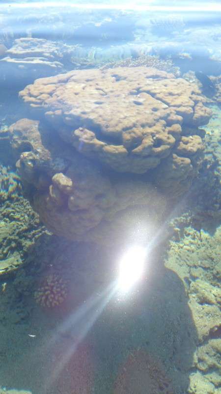 �����,���� ����� ������ �������� �� PhotoGeek.ru #������ ��� ������� #����� ��������������