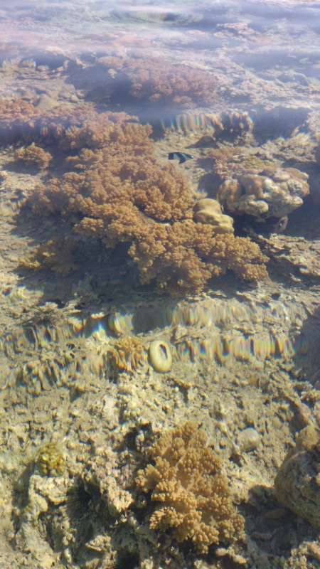 �����,���� ����� ������ �������� �� PhotoGeek.ru #������ ��� ������� #����� �������������� #����� ��������