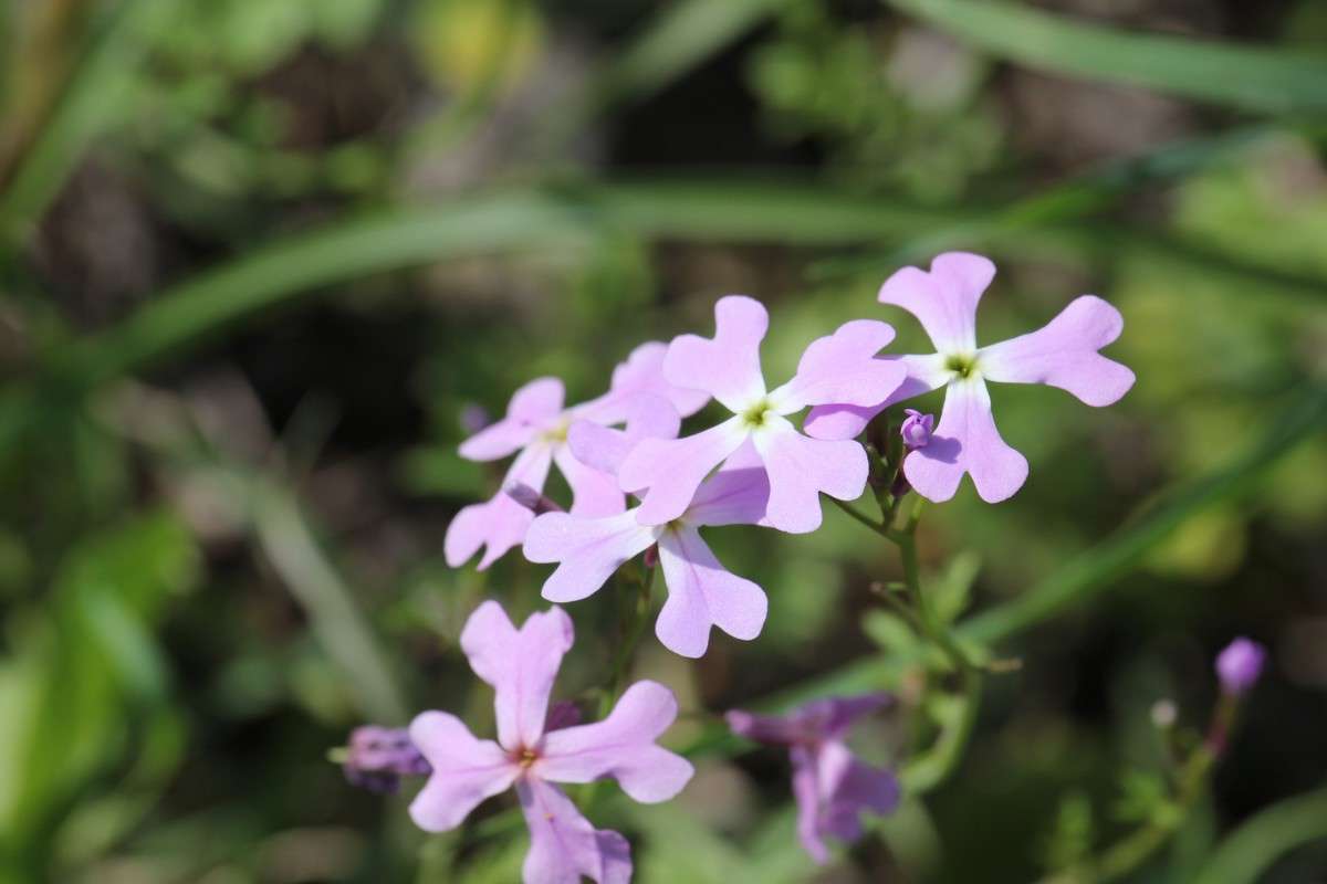 ����� ����� ������ �������� �� PhotoGeek.ru #������ ��� �������