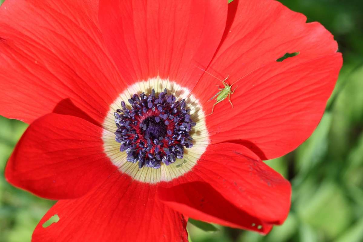 �������,������� �������� ����� ������ �������� �� PhotoGeek.ru #������ ��� �������