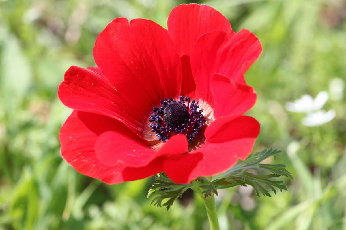 ���,����� � ������� ����� ������ �������� �� PhotoGeek.ru #������ ��� �������