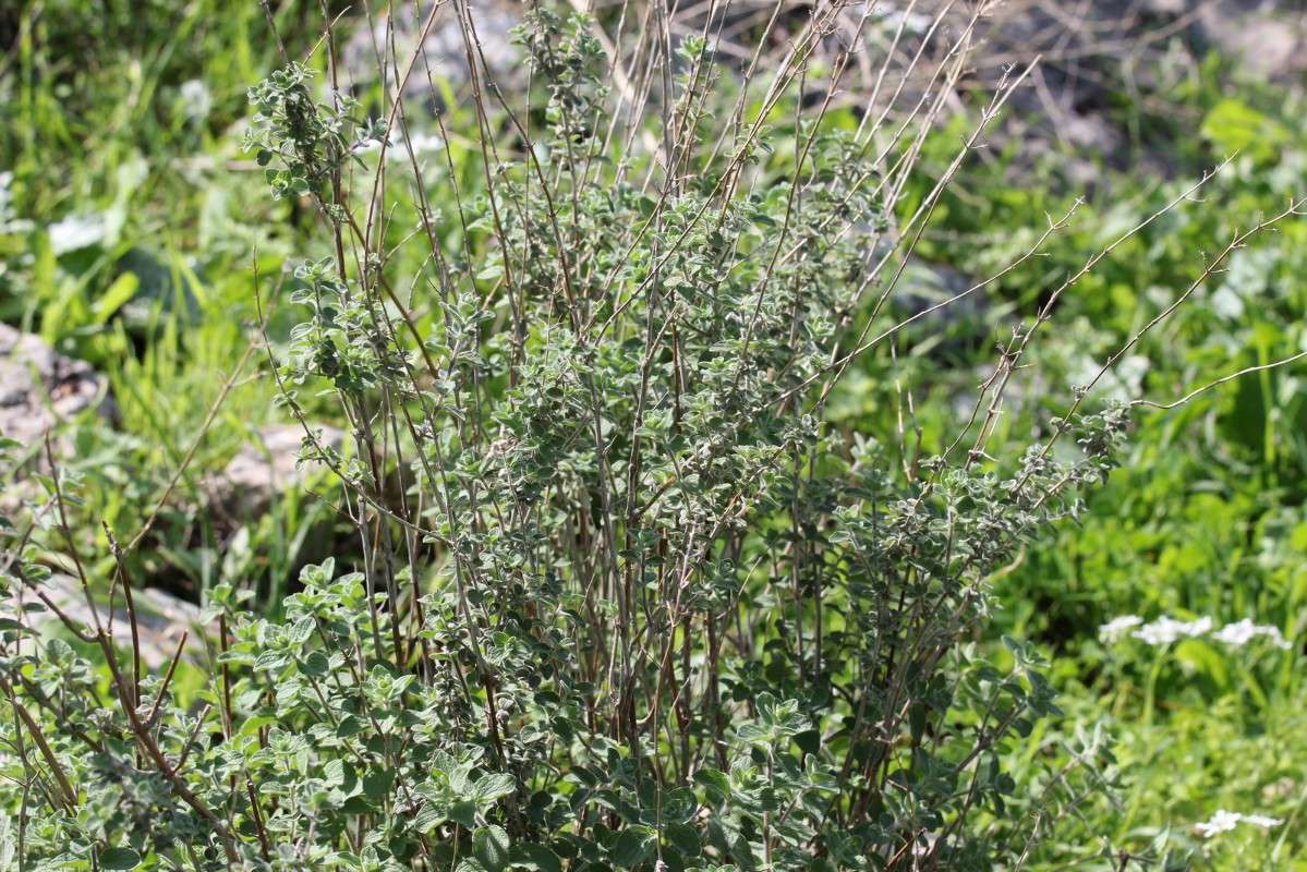 ������ ����� ������ �������� �� PhotoGeek.ru #������ ��� �������