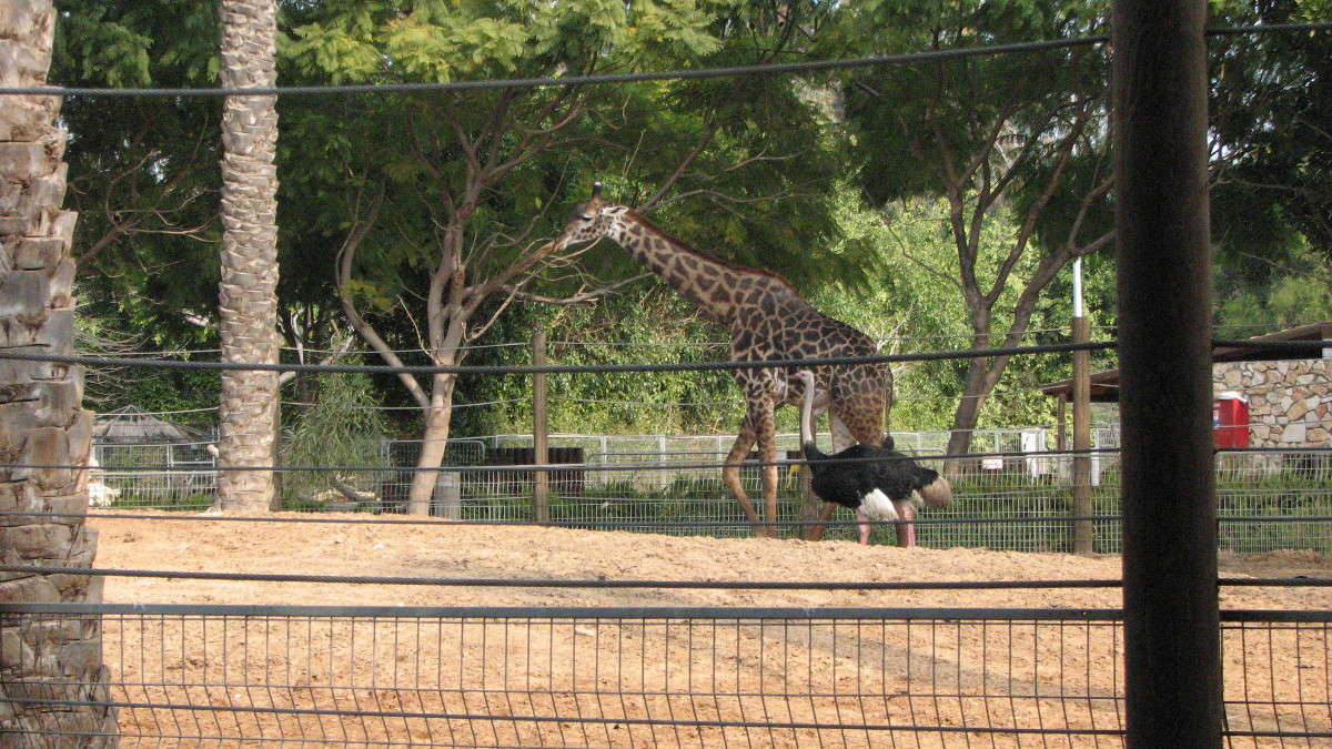 �����,���������� �� �����!!! ����� ������ �������� �� PhotoGeek.ru #�������� ���