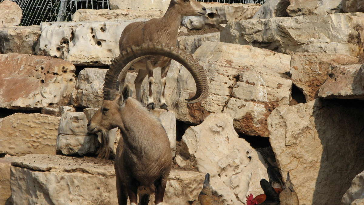 ��,��������,��... ����� ������ �������� �� PhotoGeek.ru #�������� ���