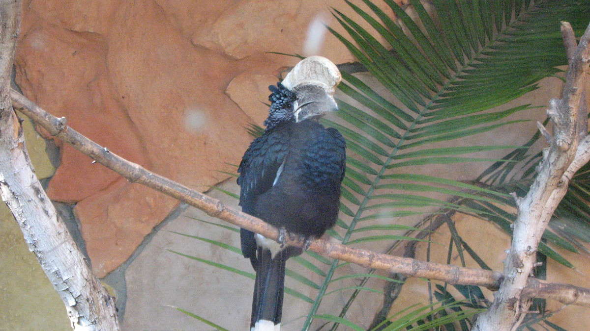 ��� ������� ����� ����� ������ �������� �� PhotoGeek.ru #�������� ���