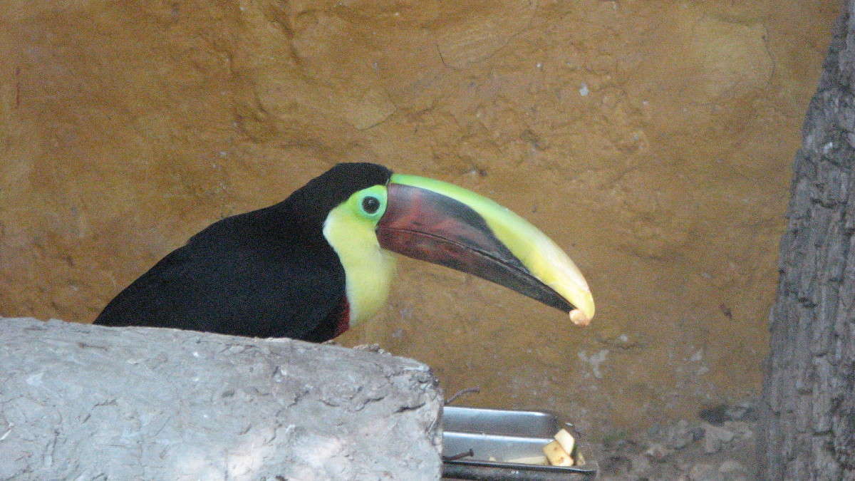 �  ���� �� ����� ����� ������ �������� �� PhotoGeek.ru #�������� ���