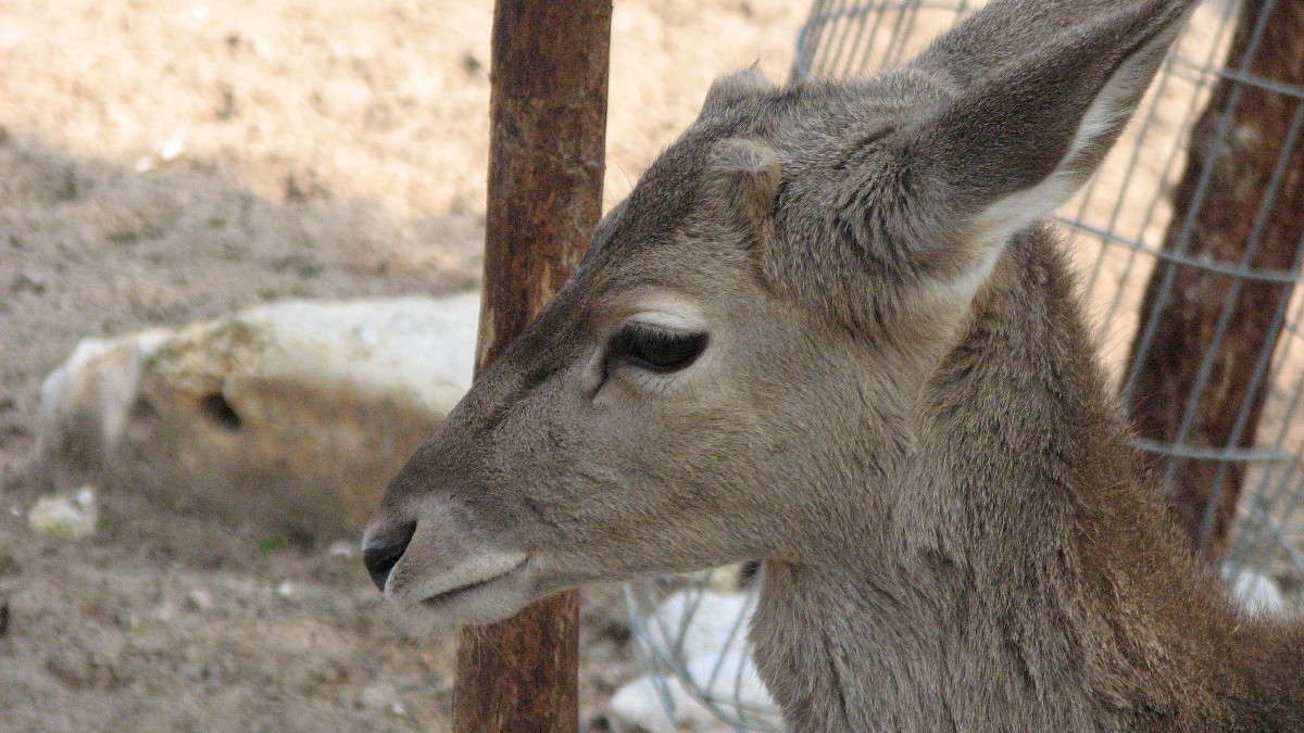 ��� ���������� ����� ������ �������� �� PhotoGeek.ru #�������� ���