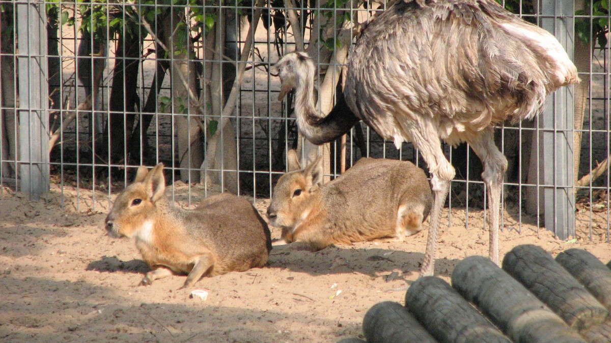 � ������� �� ���� ���-��-����... ����� ������ �������� �� PhotoGeek.ru #�������� ���