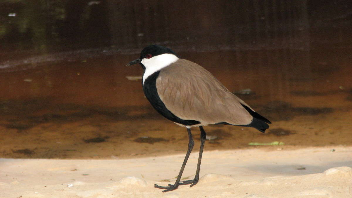 ����� ����� ������ �������� �� PhotoGeek.ru #�������� ���