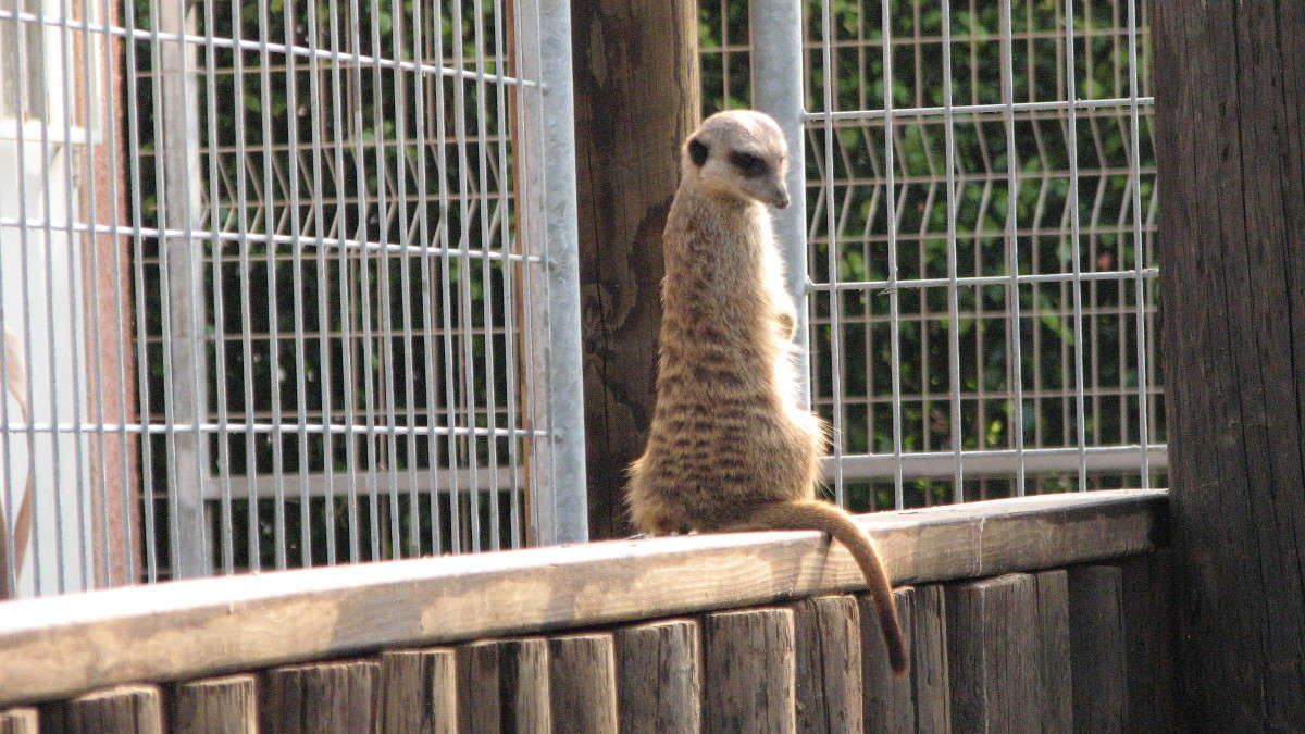 � �����,��� �� ��� ���� ������... ����� ������ �������� �� PhotoGeek.ru #�������� ���