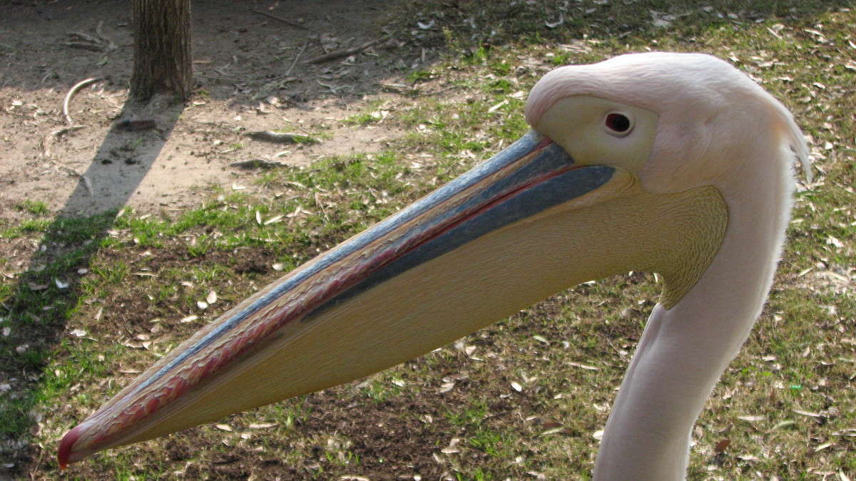 ��������� ������� ������� ���� ��������� ����� ������ �������� �� PhotoGeek.ru #�������� ���