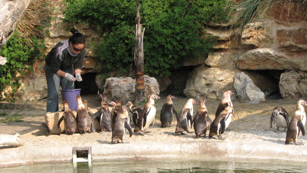 ��-��� ������... ����� ������ �������� �� PhotoGeek.ru #�������� ���