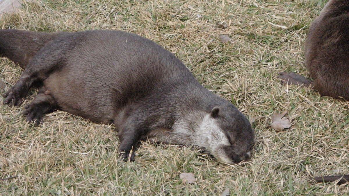 �����,������ ����� ������� ����� ������ �������� �� PhotoGeek.ru #�������� ���