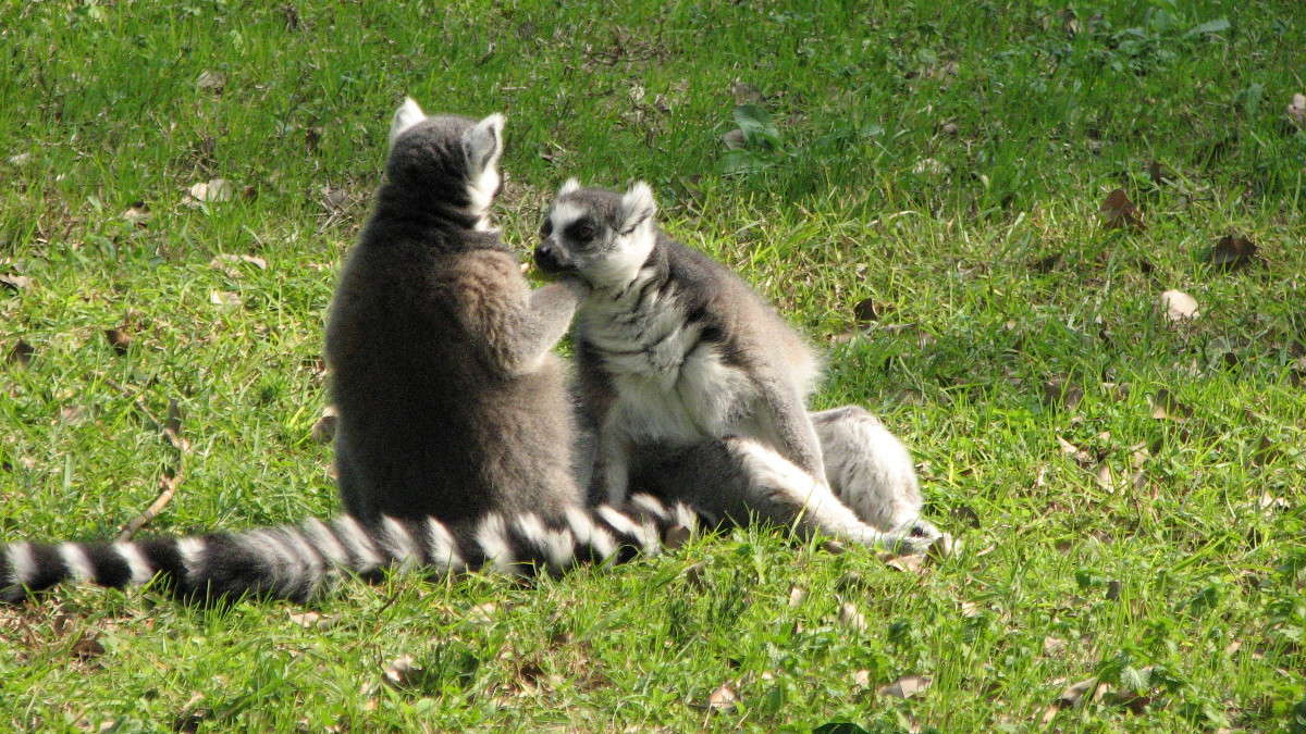 ����,�� �� ������� �������,�... ����� ������ �������� �� PhotoGeek.ru #�������� ���