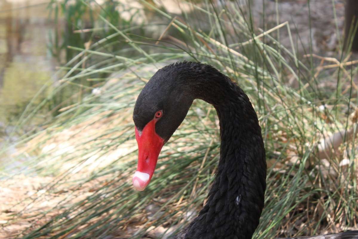 ��,� ����� ������ ����� ������ �������� �� PhotoGeek.ru #�������� ���