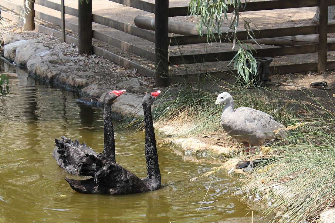 �������-��� ��� ����� ������ �������� �� PhotoGeek.ru #�������� ���