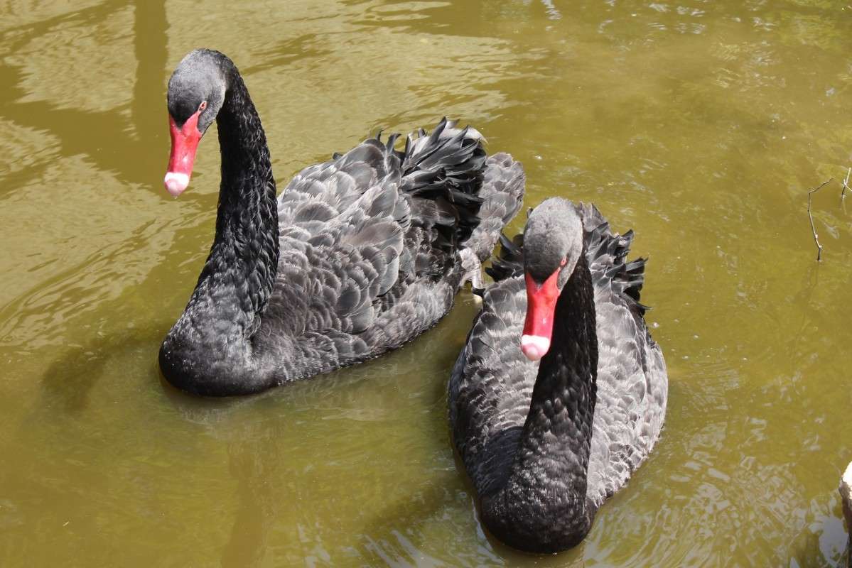 ������� ������� ����� ������ �������� �� PhotoGeek.ru #�������� ���