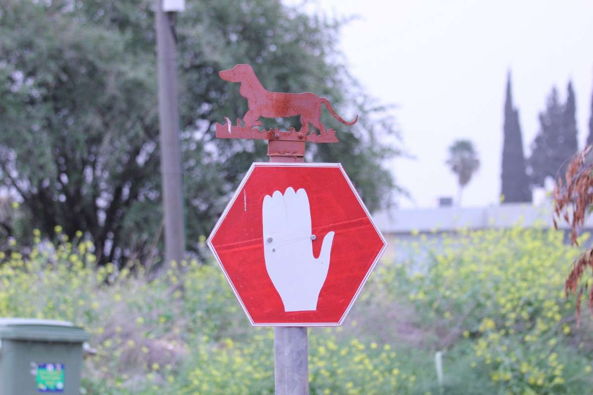 ����������,��������� ��������... ����� ������ �������� �� PhotoGeek.ru #�����