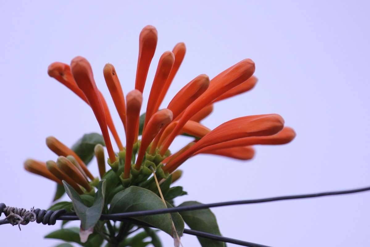 �������� ����� ������ �������� �� PhotoGeek.ru #������ ��� �������