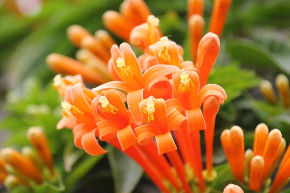 �������� ����� ������ �������� �� PhotoGeek.ru #������ ��� �������