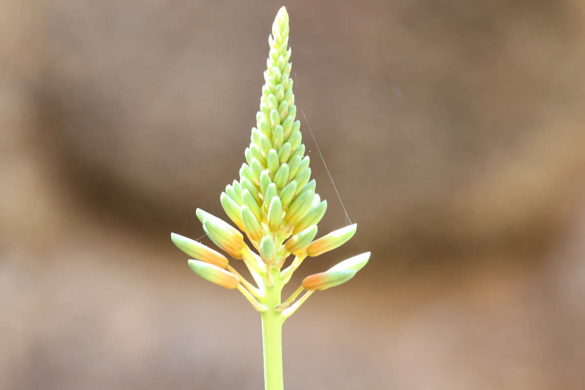 ���� ���������� ����� ������ �������� �� PhotoGeek.ru #������ ��� �������