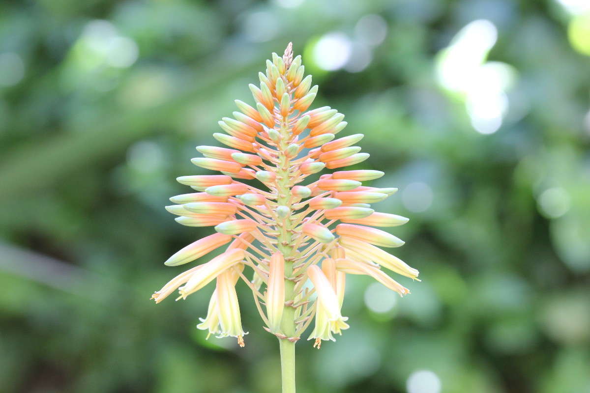 ���� ���������� ����� ������ �������� �� PhotoGeek.ru #������ ��� ������� #����� ��������������