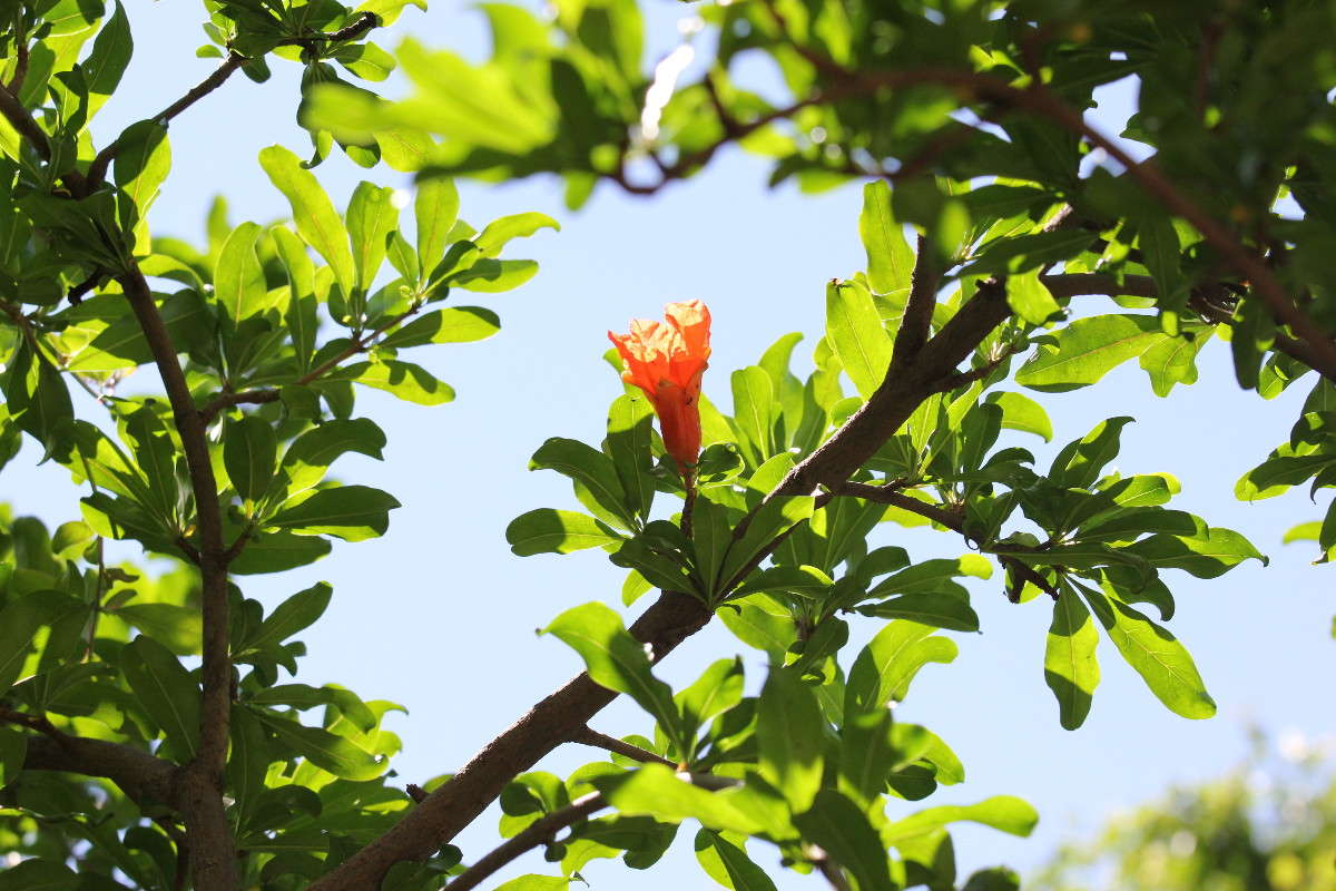 ����� ������ ���������� ����� ������ �������� �� PhotoGeek.ru #������ ��� ������� #����� ��������������