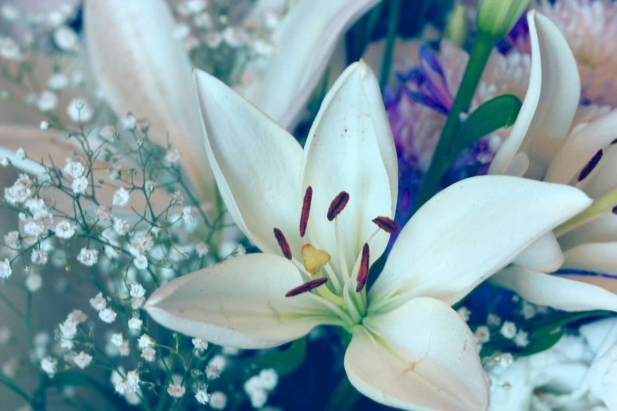 ����� ����������� ����� ������ �������� �� PhotoGeek.ru #����� #������ ��� ������� #����� ��������������