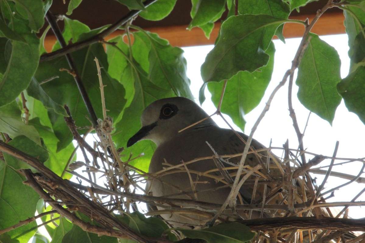 ������� ����� ������ �������� �� PhotoGeek.ru #�������� ���