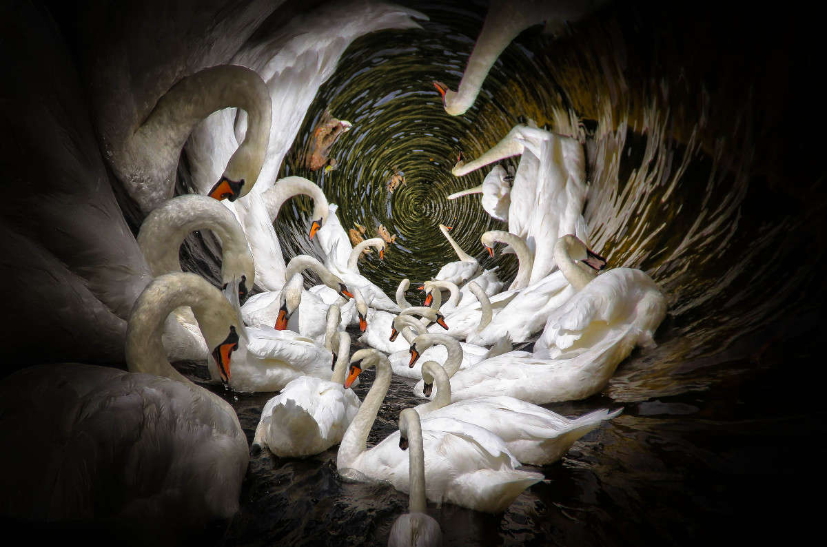 ��������� ���� ����� Yaroslava Hamamoto �� PhotoGeek.ru #�������� ���