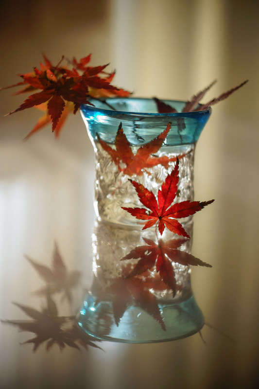 �������� ��������� ����� Yaroslava Hamamoto �� PhotoGeek.ru #���������