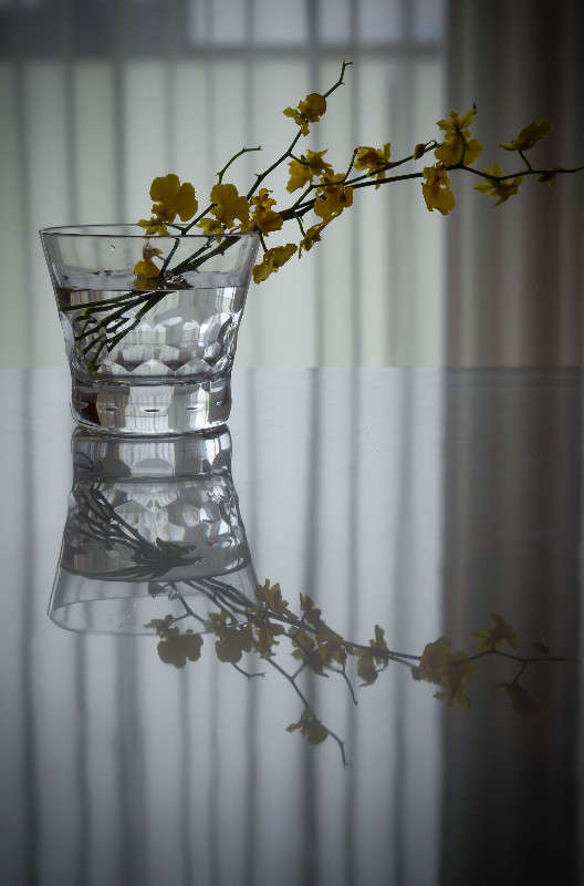 ��������� � ��������� ����� Yaroslava Hamamoto �� PhotoGeek.ru #���������