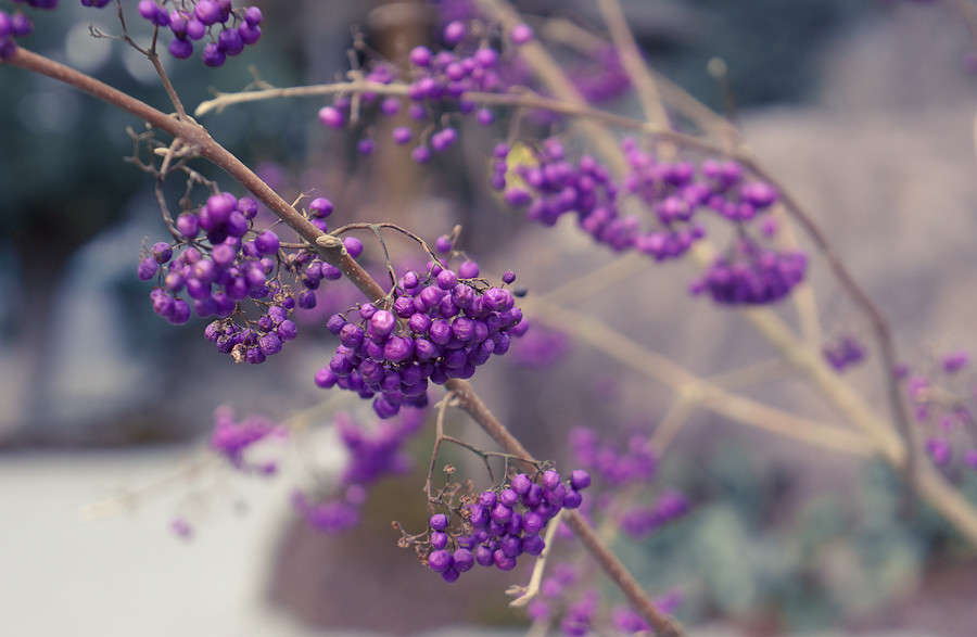 ������ ����� Yaroslava Hamamoto �� PhotoGeek.ru #������ ��� �������