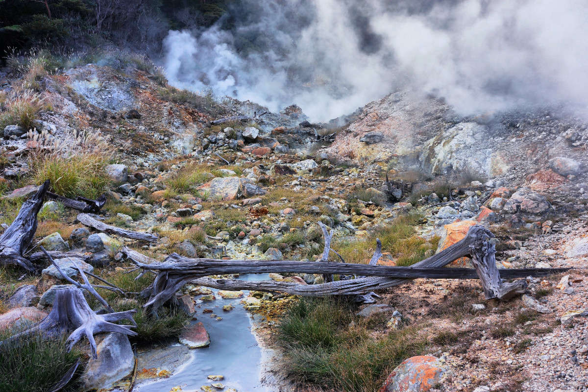 ����� ���� ����� Yaroslava Hamamoto �� PhotoGeek.ru #������ ��� ������� #���������