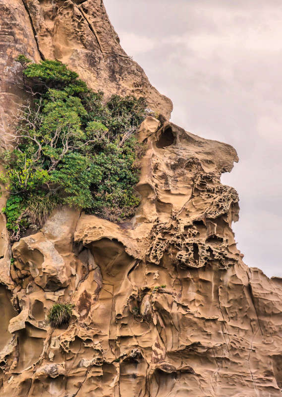 �� ������ ������ ������ ����� Yaroslava Hamamoto �� PhotoGeek.ru #������ ��� ������� #������� #���������