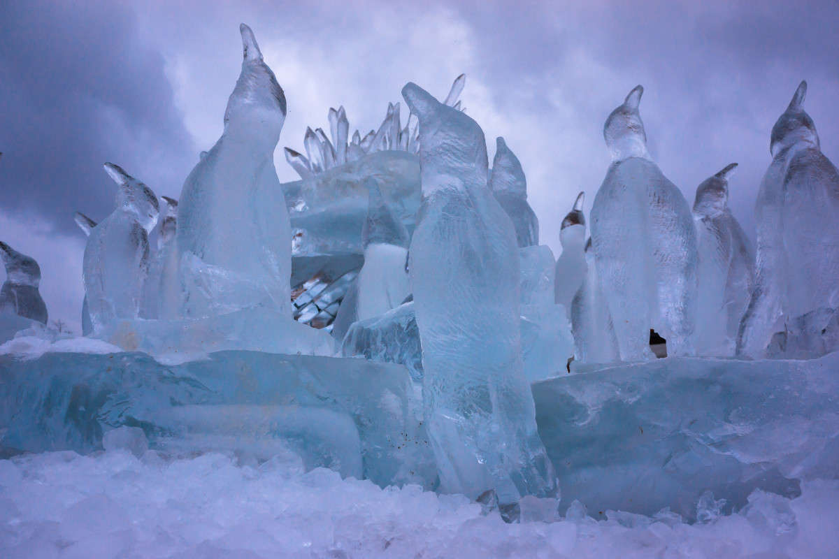 ������� �������� ����� Yaroslava Hamamoto �� PhotoGeek.ru #�������� ���