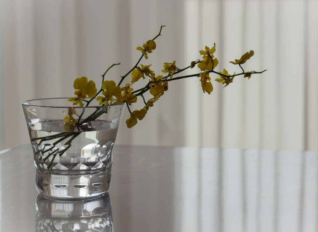 *** ����� Yaroslava Hamamoto �� PhotoGeek.ru #���������