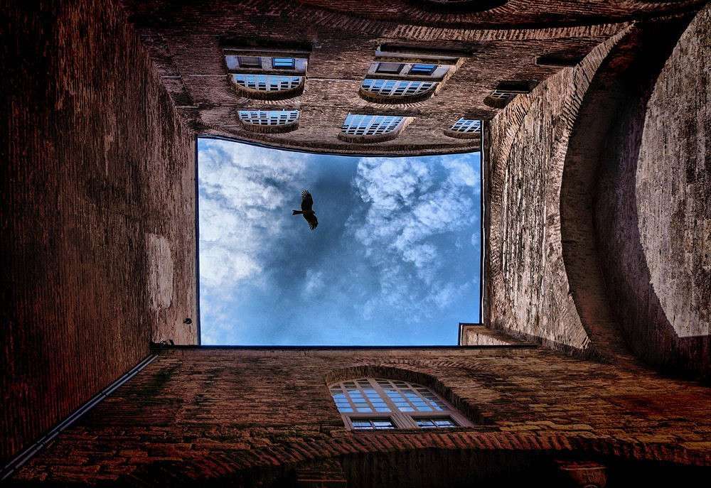 ����� ����� Yaroslava Hamamoto �� PhotoGeek.ru #�����