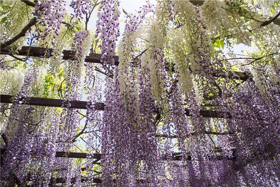 �������� ����� Yaroslava Hamamoto �� PhotoGeek.ru #������ ��� ������� #����� ��������������