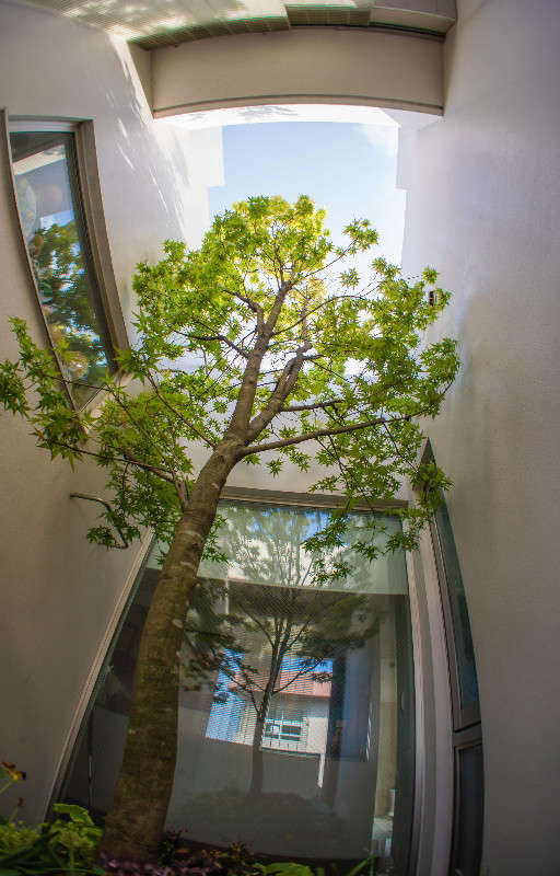 ��� �������� ��� ����� Yaroslava Hamamoto �� PhotoGeek.ru #������ ��� �������