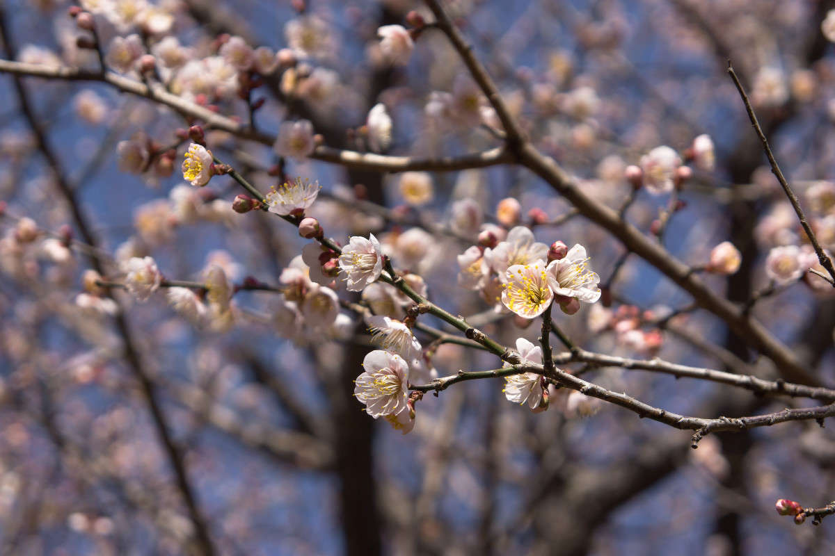 ����� ������� ����� Yaroslava Hamamoto �� PhotoGeek.ru #������ ��� ������� #����� �������������� #������