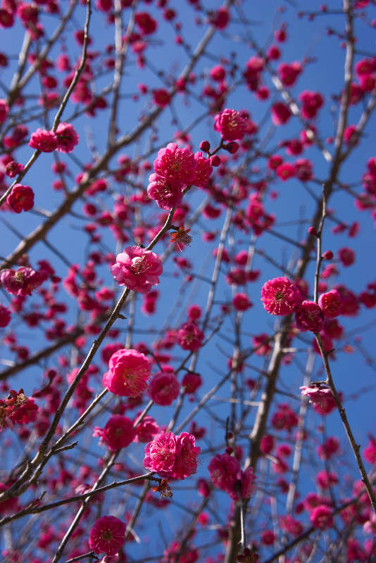 ����� ������� ����� Yaroslava Hamamoto �� PhotoGeek.ru #������ ��� ������� #����� ��������������