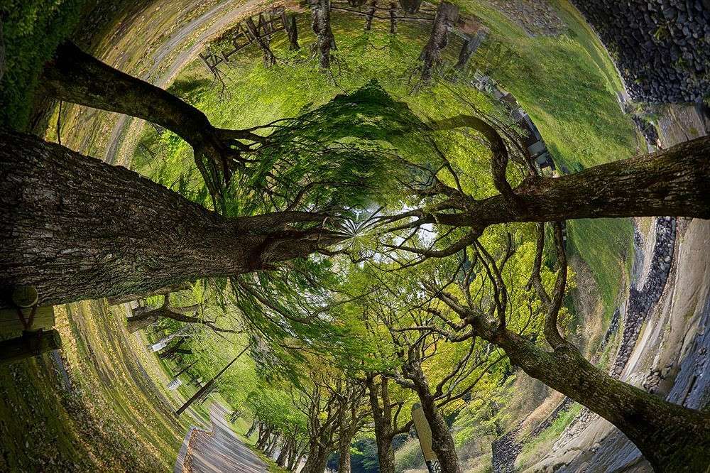 rark ����� Yaroslava Hamamoto �� PhotoGeek.ru #������ ��� ������� #���-�����������