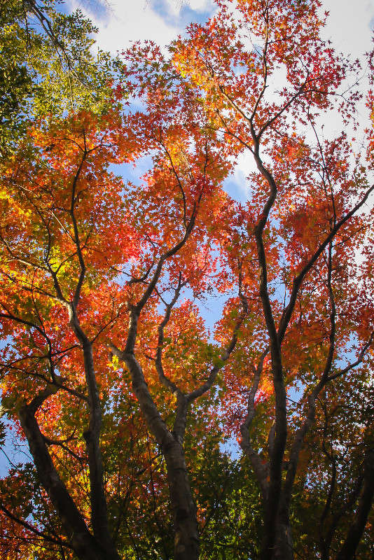 ��� ����� Yaroslava Hamamoto �� PhotoGeek.ru #������ ��� ������� #����� ��������������