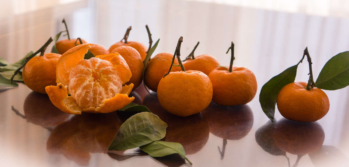 ��������� ����� Yaroslava Hamamoto �� PhotoGeek.ru #���������