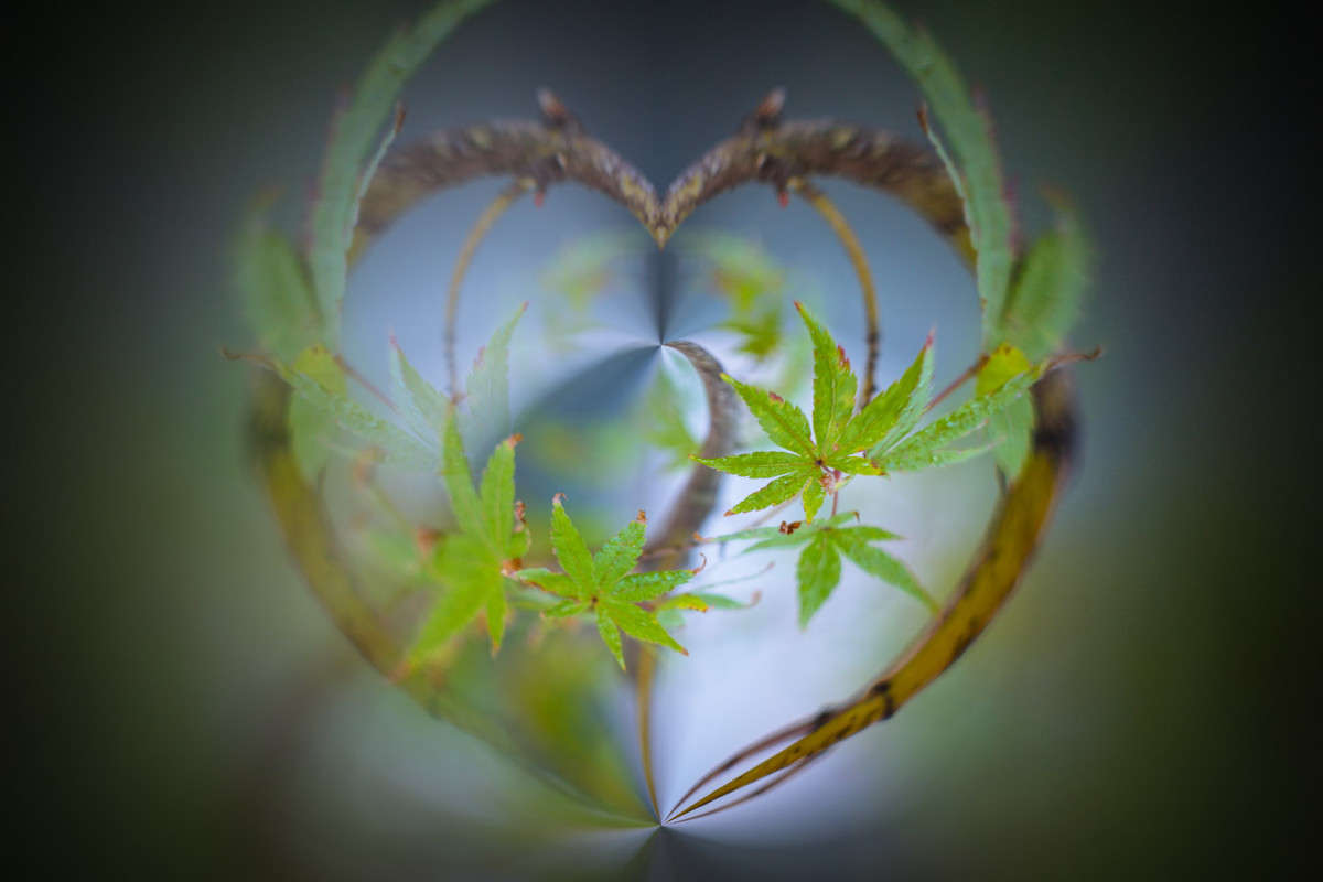 ��� ������ ������� � ���� ����� Yaroslava Hamamoto �� PhotoGeek.ru #������ ��� ������� #���-����������� #������